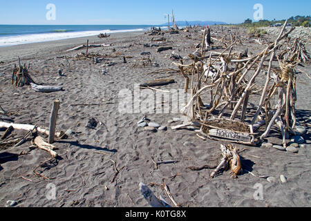 Driftwood verwandelte sich in eine natürliche Skulptur Galerie auf Hokitika Strand Stockfoto