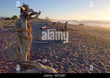 Driftwood verwandelte sich in eine natürliche Skulptur Galerie auf Hokitika Strand Stockfoto