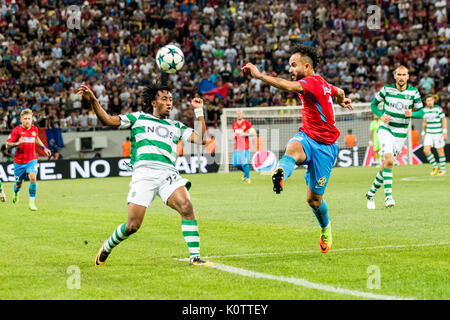 23. August 2017: Spieler während der UEFA Champions League 2017-2018, Play-Offs 2. Bein Spiel zwischen FCSB Bukarest (ROU) und Sporting Clube de Portugal Lissabon (POR) auf nationaler Arena, Bukarest, Rumänien ROU. Foto: Cronos/Catalin Soare Stockfoto