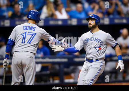 August 23, 2017 - St. Petersburg, Florida, USA - VRAGOVIC | Zeiten. Toronto Blue Jays shortstop Ryan Goins (17) High Fives Mittelfeldspieler Kevin Säule (11) an der Platte nach dem Home Run im achten Inning des Spiels zwischen den Toronto Blue Jays und die Tampa Bay Rays am Tropicana Feld in St. Petersburg, Fla. am Mittwoch, den 23.08.2017. (Bild:© wird Vragovic/Tampa Bay Zeiten über ZUMA Draht) Stockfoto