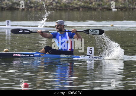 Racice, Tschechische Republik. 24 Aug, 2017. Tschechische Firma Dostal in Aktion während der 2017 ICF Canoe Sprint Wm in Racice, Tschechische Republik, 24. August 2017. Foto: CTK/Alamy leben Nachrichten Stockfoto