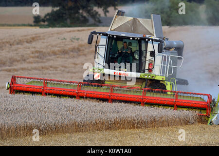 Die Landwirte der Bobitz landwirtschaftliche Genossenschaft Weizen ernten in einem Feld etwa 90 ha große in der Nähe von Klein Krankow, Deutschland, 23. August 2017. Die feuchte und kalte Wetter hat die Ernte in Norddeutschland verzögert, wodurch Landwirte klare Ernteverluste zu erwarten. Foto: Jens Büttner/dpa-Zentralbild/ZB Stockfoto