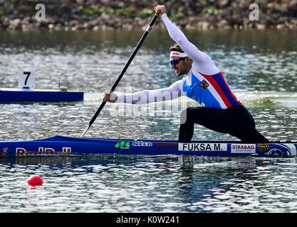 Racice, Tschechische Republik. 24 Aug, 2017. Tschechische Martin Fuksa in Aktion während der 2017 ICF Canoe Sprint Wm in Racice, Tschechische Republik, 24. August 2017. Credit: Roman Vondrous/CTK Photo/Alamy leben Nachrichten Stockfoto