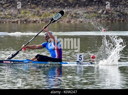 Racice, Tschechische Republik. 24 Aug, 2017. Tschechische Firma Dostal in Aktion während der 2017 ICF Canoe Sprint Wm in Racice, Tschechische Republik, 24. August 2017. Credit: Roman Vondrous/CTK Photo/Alamy leben Nachrichten Stockfoto