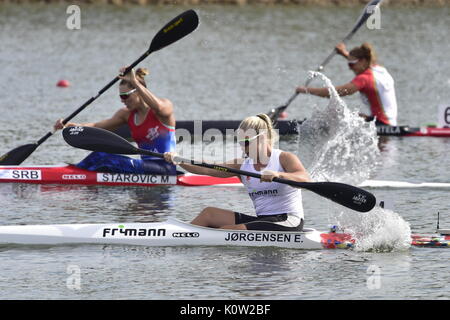 Racice, Tschechische Republik. 24 Aug, 2017. EMMA JORGENSEN von Dänemark in Aktion während der 2017 ICF Canoe Sprint Wm in Racice, Tschechische Republik, 24. August 2017. Credit: Roman Vondrous/CTK Photo/Alamy leben Nachrichten Stockfoto