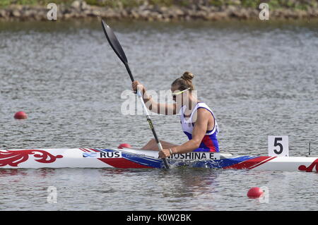 Racice, Tschechische Republik. 24 Aug, 2017. Elena Anushina Russlands in Aktion während der 2017 ICF Canoe Sprint Wm in Racice, Tschechische Republik, 24. August 2017. Credit: Roman Vondrous/CTK Photo/Alamy leben Nachrichten Stockfoto