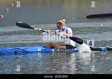 Racice, Tschechische Republik. 24 Aug, 2017. Tschechische Ivana Mladkova in Aktion während der 2017 ICF Canoe Sprint Wm in Racice, Tschechische Republik, 24. August 2017. Credit: Roman Vondrous/CTK Photo/Alamy leben Nachrichten Stockfoto