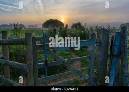 Gate on Avon Valley Footpath, Burgate, Fordingbridge, Hampshire, Großbritannien, 25.. August 2017. Nebel bei Sonnenaufgang auf dem Land im Spätsommer. Stockfoto