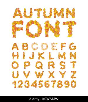 Herbst Font. Gelbe Blätter des Alphabets. Herbstliche ABC. Briefe Laub Stock Vektor