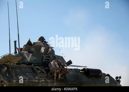Ein US-Marine mit 3 Light Armored Reconnaissance Bataillon, Regimental Combat Team-8, feuert eine M240B medium Maschinengewehr von einer leichten gepanzerten Fahrzeug während der Großen Übung-17 an Twentynine Palms, Calif., Aug 18., 2017. LSE-17 ist eine multinationale Übung, geführt durch den 2nd Marine Division, mit Elementen aus dem Vereinigten Königreich, Frankreich, Kanada und II Marine Expeditionary Force, auf die Integration aller Funktionen der Marine Air-Ground Task Force und Koalitionstruppen konzentriert. (U.S. Marine Corps Foto von Lance Cpl. Holly Pernell) Stockfoto