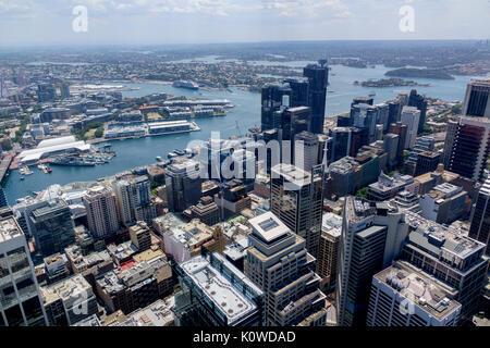 Das zentrale Geschäftsviertel Luftaufnahme vom Sydney Tower Auge zeigt den Hafen und die Skyline von Sydney, Australien Stockfoto