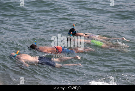 Touristen schwimmen oder genießen Sie maritimen Tätigkeiten, wie sie in den Strand von Magaluf in der spanischen Baleareninsel Mallorca sunbatthe Stockfoto