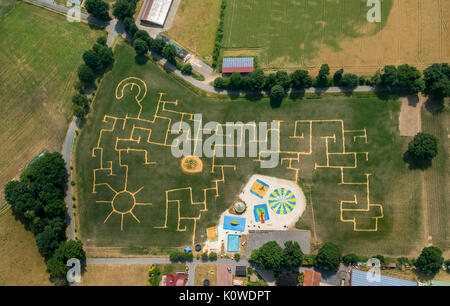 Terhardt Corn Maze, Kinderspielplatz, Heidkantweg 90, Labyrinth, Haltern am See, Ruhrgebiet, Nordrhein-Westfalen, Deutschland Stockfoto