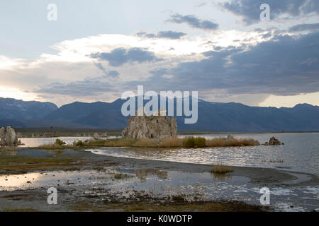 Tuffstein Felsbrocken auf die Küste am Mono Lake Tuffstein State Reserve. Stockfoto