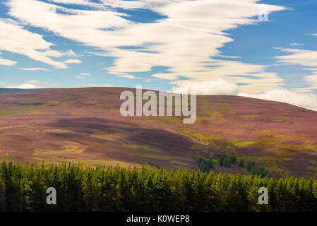 Malerische Aussicht auf die schöne Natur des Cairgorms National Park in Schottland im Sommer Stockfoto