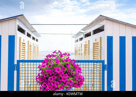 Blaue streifen Umkleidekabinen und lila Blumen am Strand von Santa Margherita Ligure, Italien Stockfoto