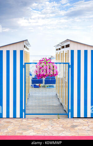 Blaue streifen Umkleidekabinen und lila Blumen am Strand von Santa Margherita Ligure, Italien Stockfoto