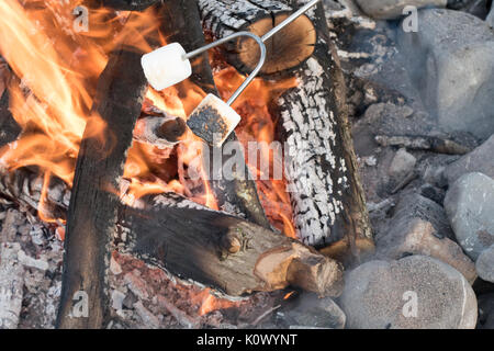 Marshmallows rösten an einem Strand mit Lagerfeuer mit Schokolade, Marshmellow, und Graham Cracker mit Raum für Kopie Stockfoto