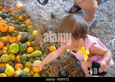 Kleinkind spielen mit bunten Kürbisse. Stockfoto