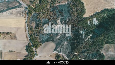 Brandstiftung:, Masse durch die waldbrandschäden verbrannt, verbranntes Feld in Reggio Emilia Hügel, Vedriano, Trinità Stockfoto