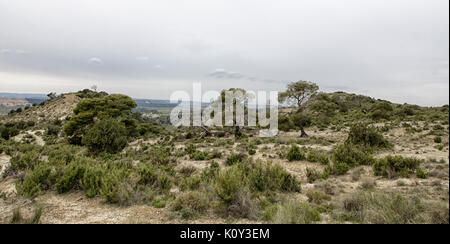 Landschaft in der Wüste Stockfoto