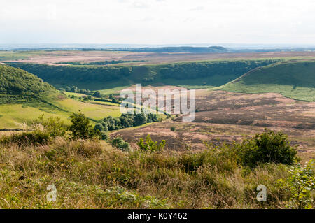 Die Bohrung des Horcum im Tal des Levisham Beck auf der North York Moors ist bis zu 400 Meter tief und 0,75 Meter breit. Stockfoto