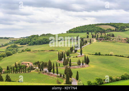 Monticchiello in der Landschaft des Val d'Orcia, Toskana, Italien Stockfoto