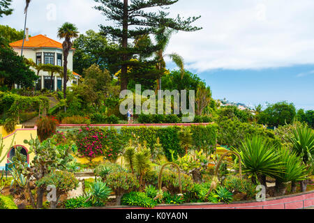 MADEIRA Portugal Madeira Funchal Botanischer Garten der Botanische