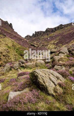 Zerklüftete Landschaft an Grindsbrook Clough in der Nähe von Morley, Peak District National Park, England. Felsen und Heather am Rande des Kinder Scout. Stockfoto