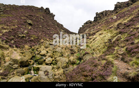 Zerklüftete Landschaft an Grindsbrook Clough in der Nähe von Morley, Peak District National Park, England. Felsen und Heather am Rande des Kinder Scout. Stockfoto