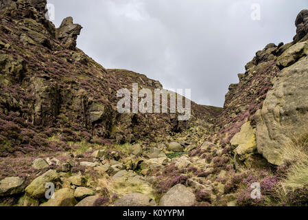 Zerklüftete Landschaft an Grindsbrook Clough in der Nähe von Morley, Peak District National Park, England. Felsen und Heather am Rande des Kinder Scout. Stockfoto