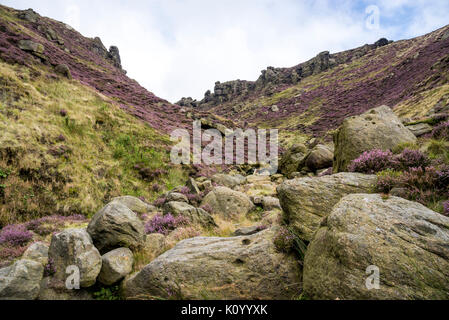 Zerklüftete Landschaft an Grindsbrook Clough in der Nähe von Morley, Peak District National Park, England. Felsen und Heather am Rande des Kinder Scout. Stockfoto