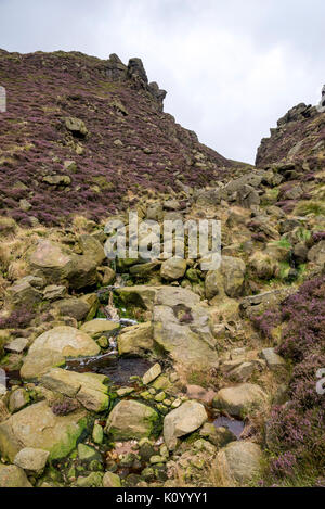 Zerklüftete Landschaft an Grindsbrook Clough in der Nähe von Morley, Peak District National Park, England. Felsen und Heather am Rande des Kinder Scout. Stockfoto