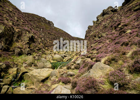 Zerklüftete Landschaft an Grindsbrook Clough in der Nähe von Morley, Peak District National Park, England. Felsen und Heather am Rande des Kinder Scout. Stockfoto