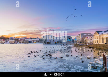 Winter, Reykjavik Teich gefroren, Island Stockfoto