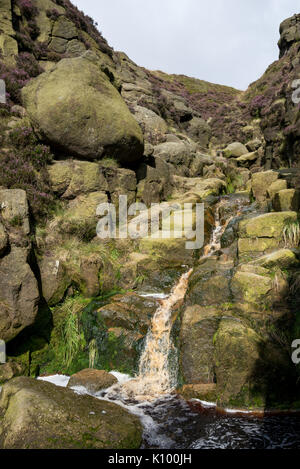 Zerklüftete Landschaft an Grindsbrook Clough in der Nähe von Morley, Peak District National Park, England. Felsen und Heather am Rande des Kinder Scout. Stockfoto