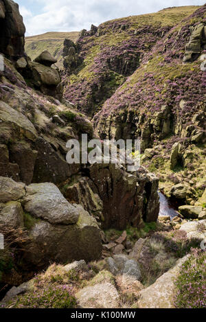 Zerklüftete Landschaft an Grindsbrook Clough in der Nähe von Morley, Peak District National Park, England. Felsen und Heather am Rande des Kinder Scout. Stockfoto