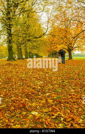 Paar mit einem Herbst romantischen Spaziergang Stockfoto