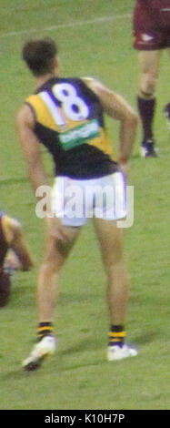 Alex Rance Tiger 2015 vs Brisbane Stockfoto