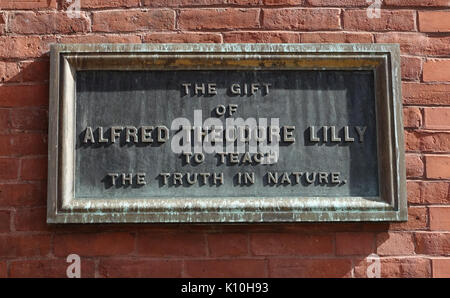 Alfred Theodore Lilly Halle Plakette Smith College Northampton, MA DSC 02117 Stockfoto