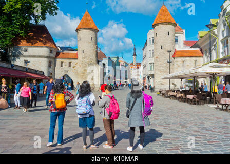 Viru Tor, Viru Street, Vanalinn, Altstadt Tallinn, Estland Stockfoto