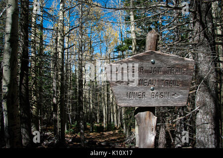 Abineau Trail ist ein steiler Aufstieg 1.800 Fuß über zwei Meilen auf den Hügeln von San Francisco Peaks durch Abineau Canyon. Der Weg trifft der Wasserlinie Trail an der Spitze, die zu (22059271295) gefolgt werden. Stockfoto