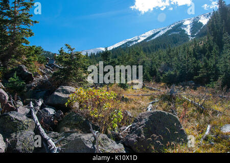 Abineau Trail ist ein steiler Aufstieg 1.800 Fuß über zwei Meilen auf den Hügeln von San Francisco Peaks durch Abineau Canyon. Der Weg trifft der Wasserlinie Trail an der Spitze, die zu (21438459523) gefolgt werden. Stockfoto