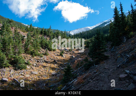 Abineau Trail ist ein steiler Aufstieg 1.800 Fuß über zwei Meilen auf den Hügeln von San Francisco Peaks durch Abineau Canyon. Der Weg trifft der Wasserlinie Trail an der Spitze, die zu (21872708499) gefolgt werden. Stockfoto