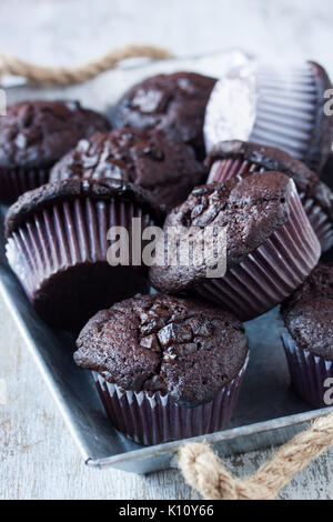 Chocolate Muffins auf weißem Hintergrund Stockfoto