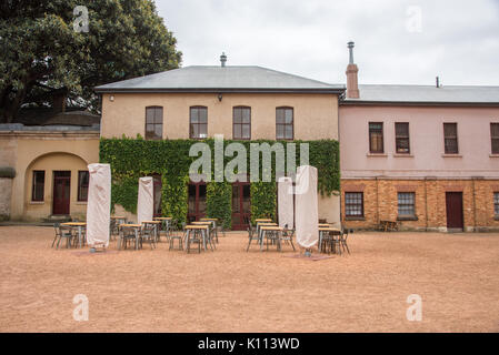 SYDNEY, NSW, Australien - NOVEMBER 19,2016: Hyde Park Barracks Innenhof Essbereich mit Efeu Wachstum in Sydney, Australien. Stockfoto