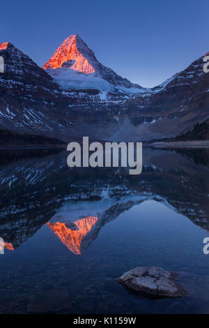 Frühe Licht auf Mount Assiniboine über dem Lake Magog in Mount Assiniboine Provincial Park, Rocky Mountains, British Columbia, Kanada. Stockfoto