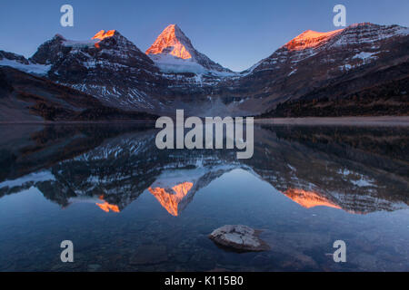 Frühe Licht auf Mount Assiniboine in Lake Magog in Mount Assiniboine Provincial Park, Rocky Mountains, British Columbia, Kanada. Stockfoto