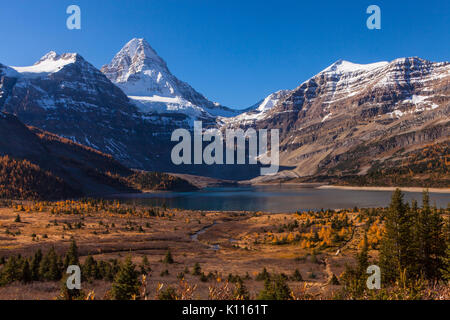 Mount Assiniboine vom Lake Magog im Herbst, Mount Assiniboine Provinicial Park, Rocky Mountains, British Columbia, Kanada. Stockfoto