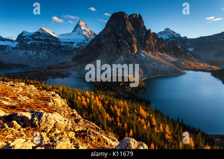 Mount Assiniboine aboe See Mago und See Cerrulean inmitten fallen Lärchen, Mount Assiniboine Provincial Park, Rocky Mountains, British Columbia, Kanada. Stockfoto